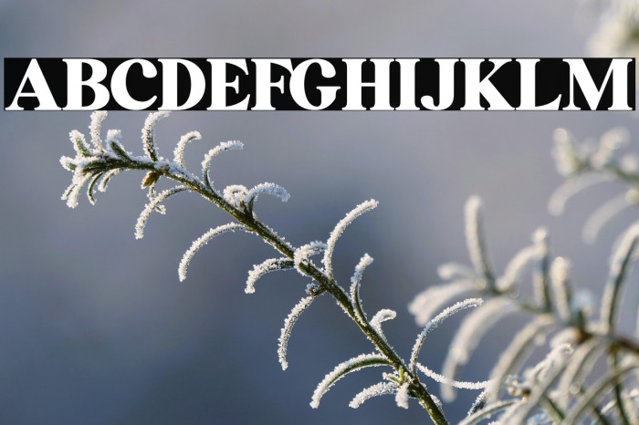 Waldorf Astoria Example 3