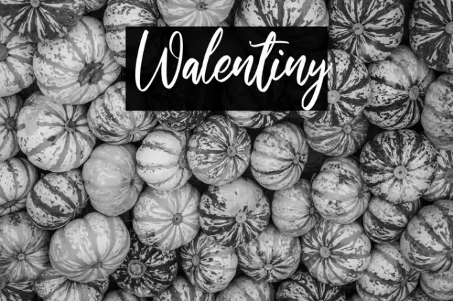 Walentiny Font examples