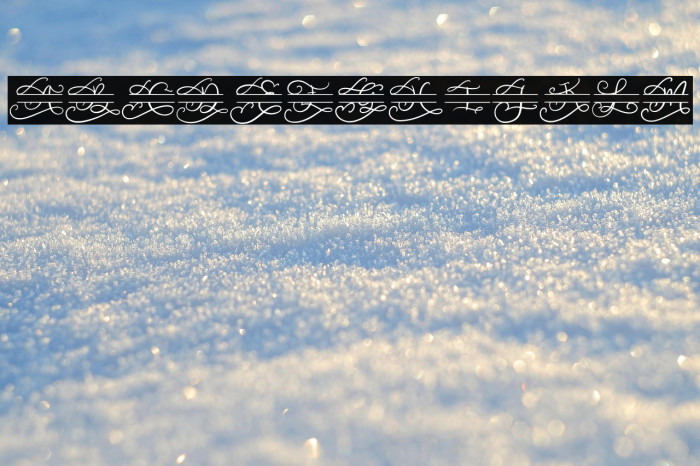 Walerina Monogram Example 3