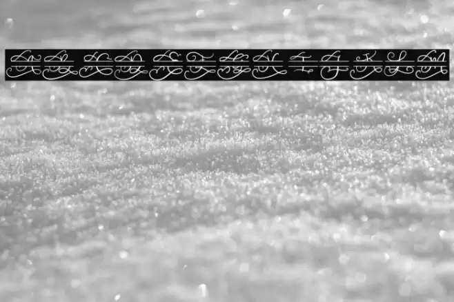 Walerina Monogram Caratteri examples