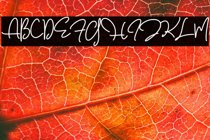 Walerina Script Example 1