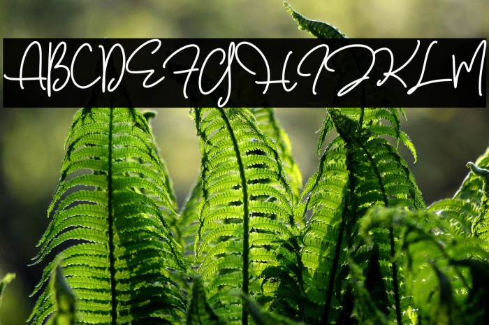 Walerina Script Example 3