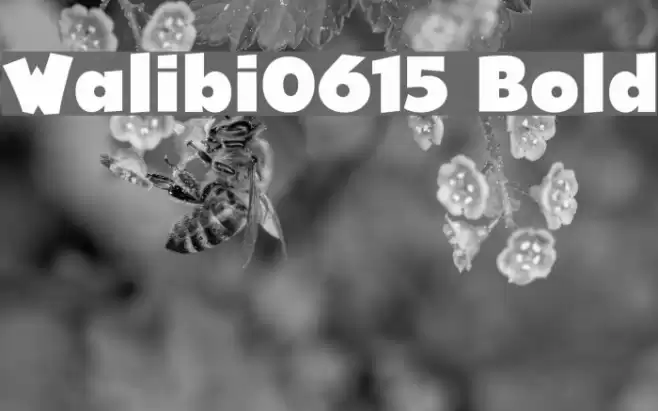 Walibi0615 Bold Font examples