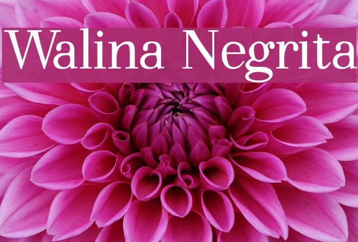 Walina Negrita Example 2