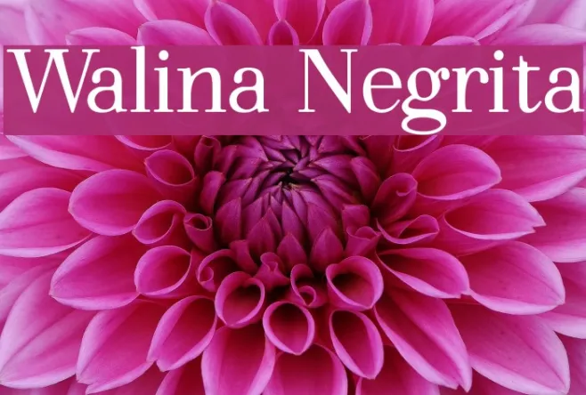 Walina Negrita Example 2