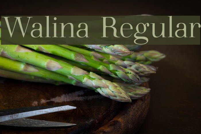 Walina Regular Example 1