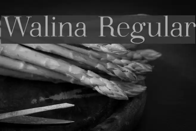 Walina Regular Font examples