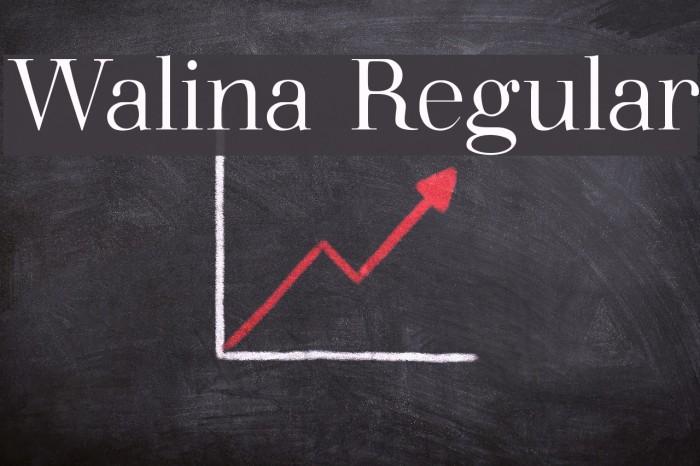 Walina Regular Example 3