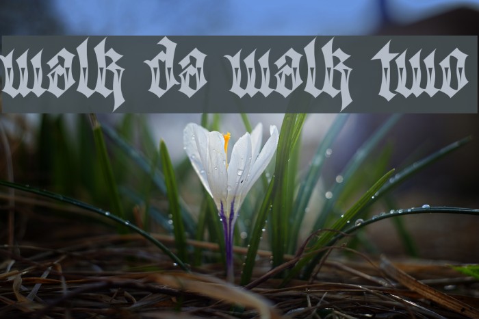 Walk Da Walk Two Font examples