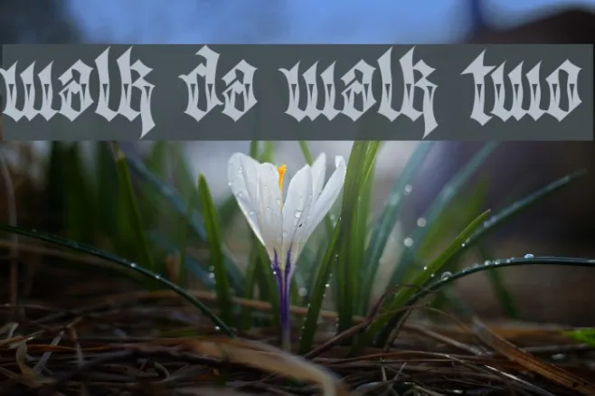 Walk Da Walk Two Example 1
