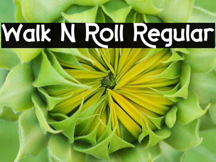 Walk N Roll Regular Example 1