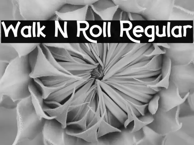 Walk N Roll Regular Font examples