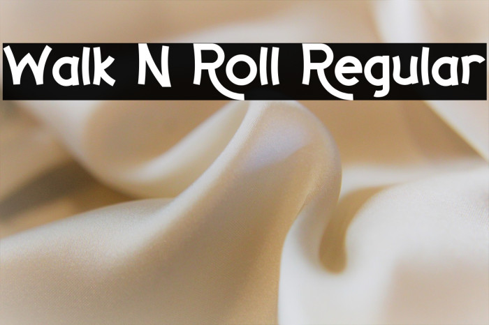 Walk N Roll Regular Example 3