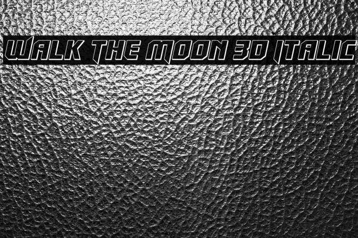 Walk The Moon 3D Italic Example 1