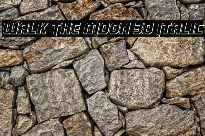 Walk The Moon 3D Italic Example 3