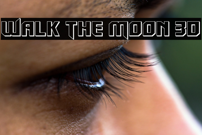 Walk The Moon 3D Example 1