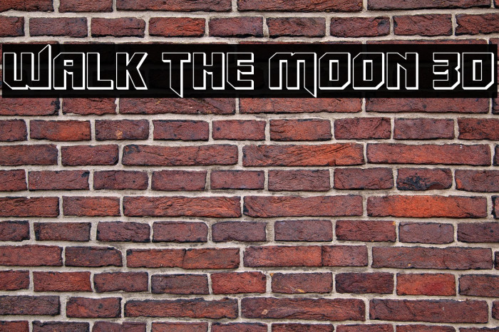 Walk The Moon 3D Example 2