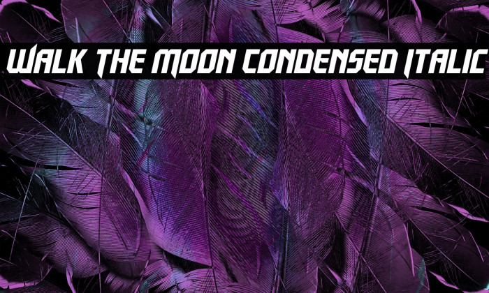 Walk The Moon Condensed Italic Example 2