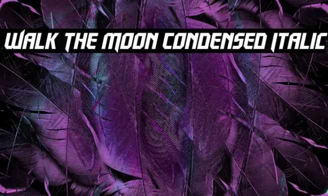 Walk The Moon Condensed Italic Example 2