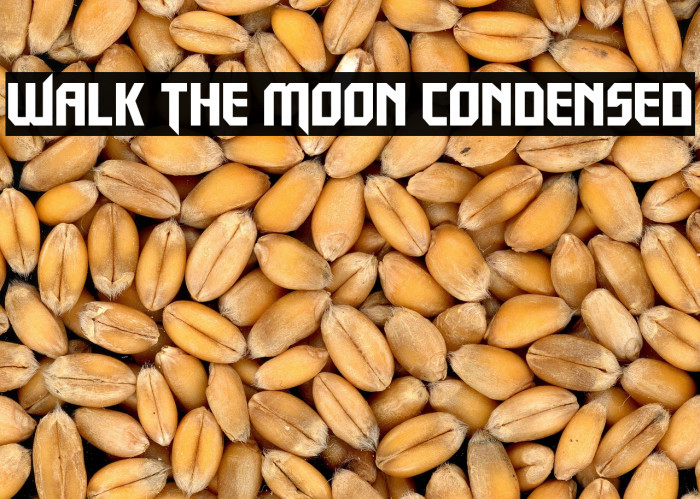 Walk The Moon Condensed Example 2