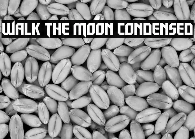 Walk The Moon Condensed Font examples