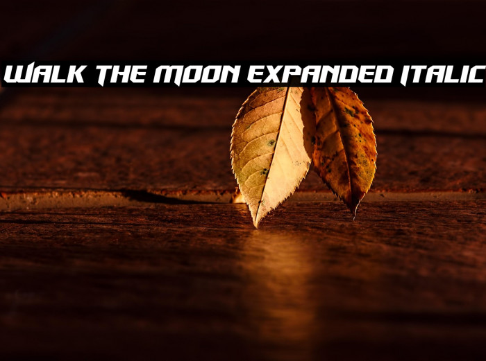 Walk The Moon Expanded Italic Example 1