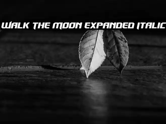 Walk The Moon Expanded Italic Font examples