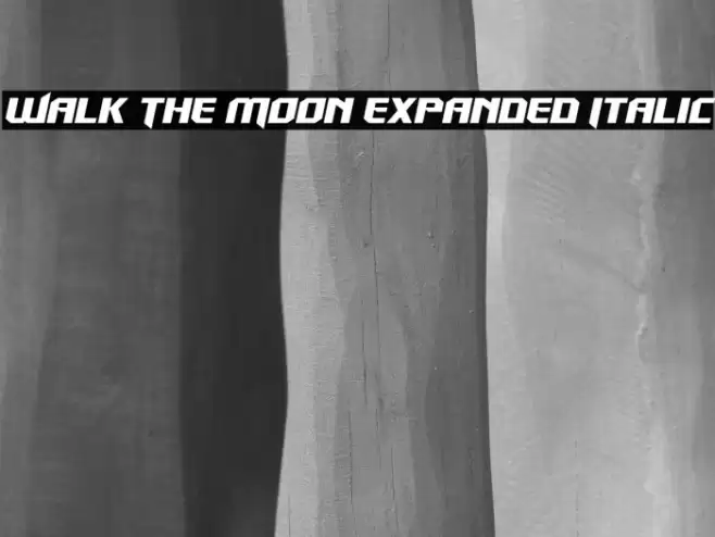 Walk The Moon Expanded Italic Font examples