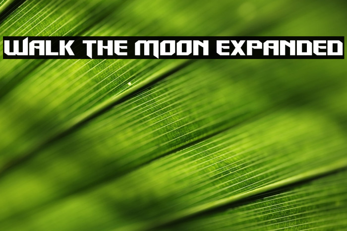 Walk The Moon Expanded Example 1