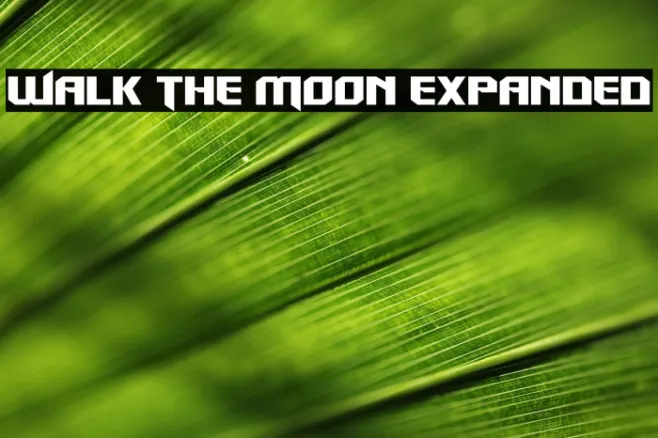 Walk The Moon Expanded Example 1