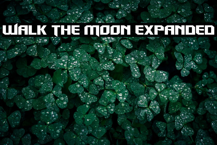 Walk The Moon Expanded Example 2