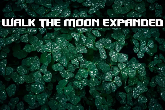 Walk The Moon Expanded Example 2