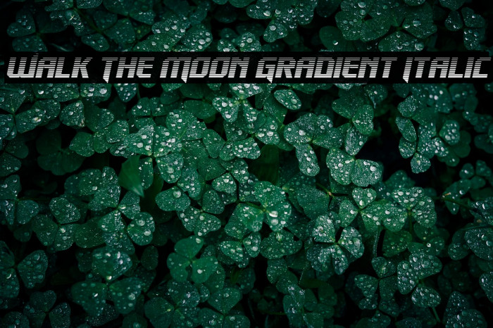 Walk The Moon Gradient Italic Example 2