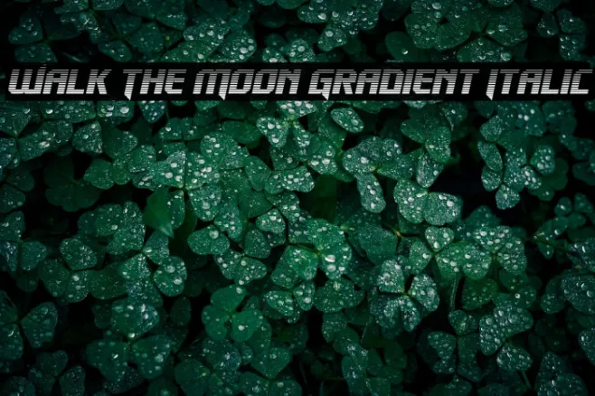Walk The Moon Gradient Italic Example 2