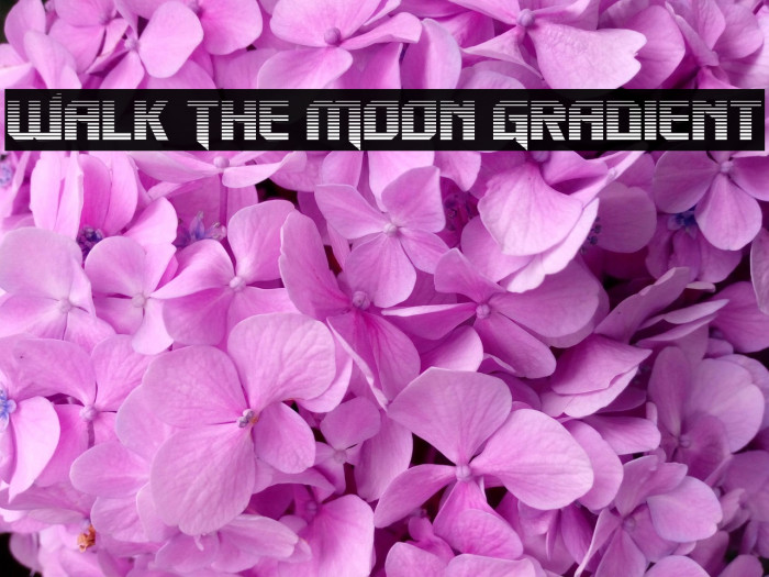 Walk The Moon Gradient Example 3