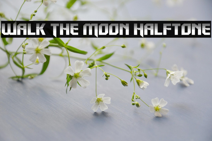 Walk The Moon Halftone Example 2