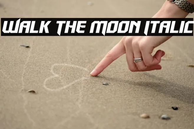Walk The Moon Italic Example 1