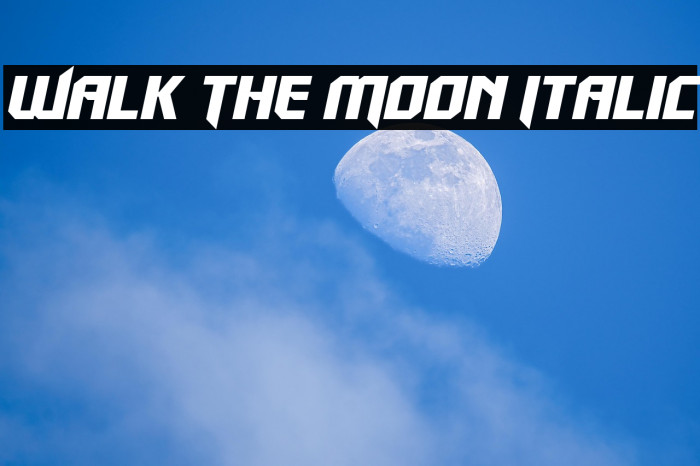 Walk The Moon Italic Example 2