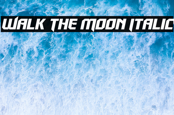 Walk The Moon Italic Example 3