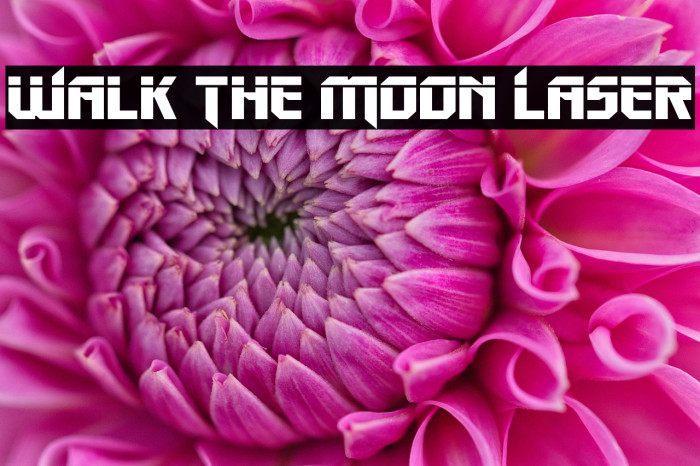 Walk The Moon Laser Example 1