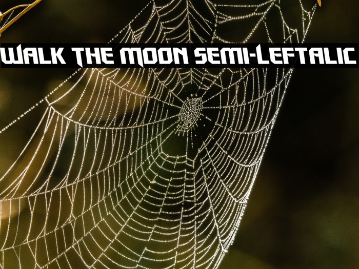 Walk The Moon Semi-Leftalic Example 1