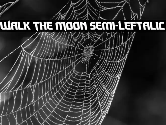 Walk The Moon Semi-Leftalic Font examples