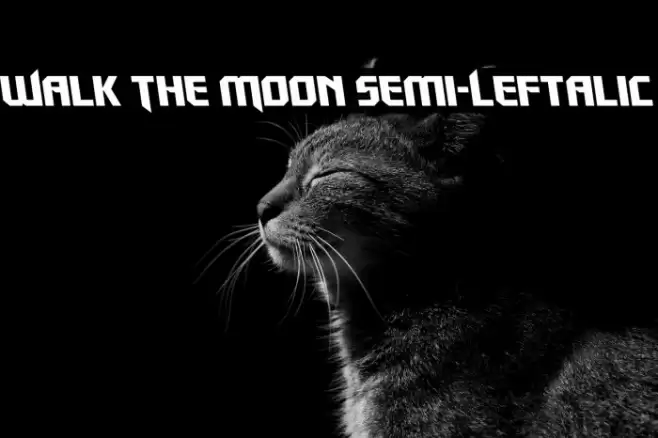 Walk The Moon Semi-Leftalic Font examples