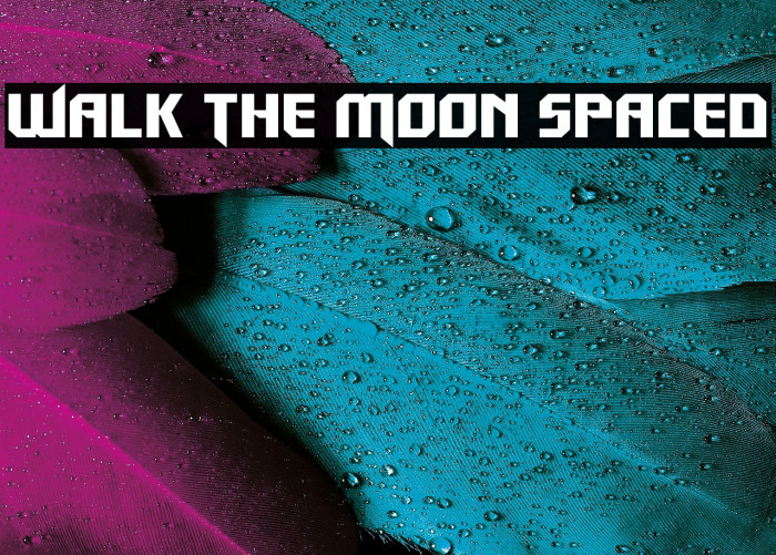 Walk The Moon Spaced Example 3