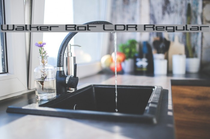 Walker Bot LDR Regular Example 3