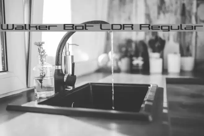 Walker Bot LDR Regular Font examples