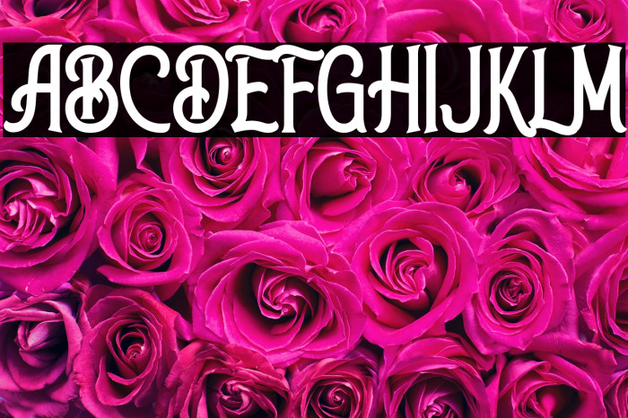 Walker Knight Example 3