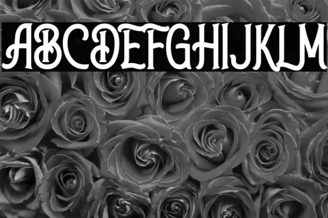 Walker Knight Font examples