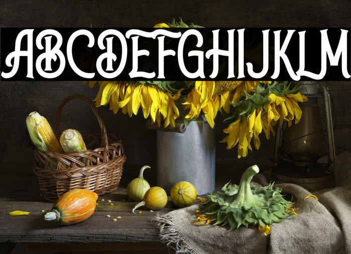 Walker Knight Example 1