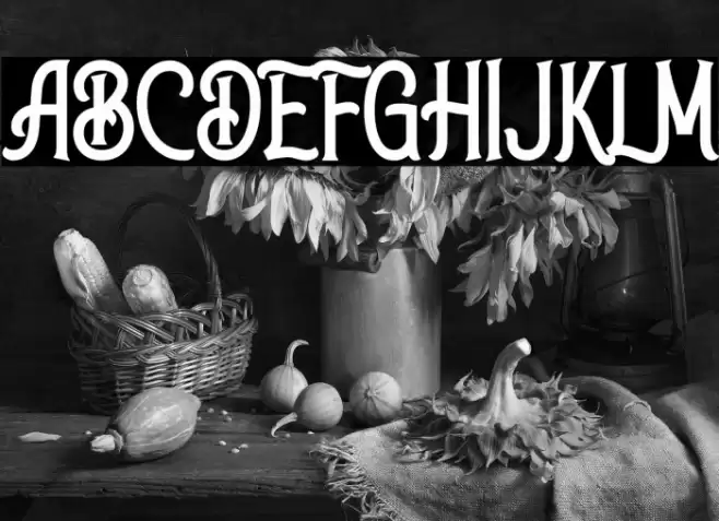 Walker Knight Font examples